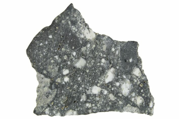 Polished Lunar Meteorite ( g) Slice - Aridal #360157